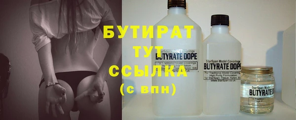 индика Лабытнанги