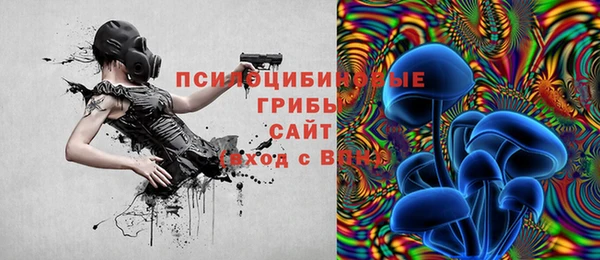 скорость Лиски