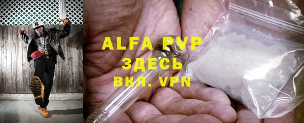 индика Лабытнанги