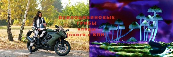 спайс Лагань