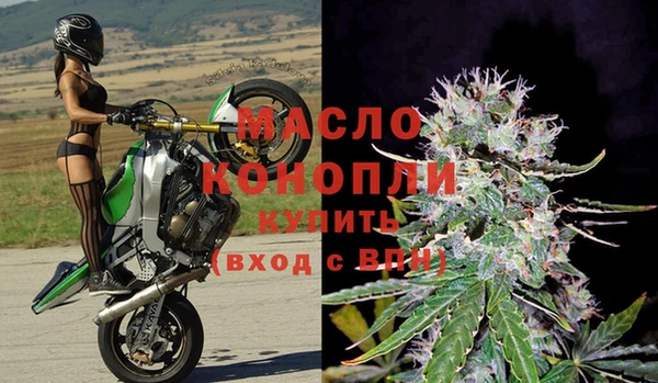индика Лабытнанги