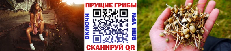 Галлюциногенные грибы мицелий  купить   Медвежьегорск 